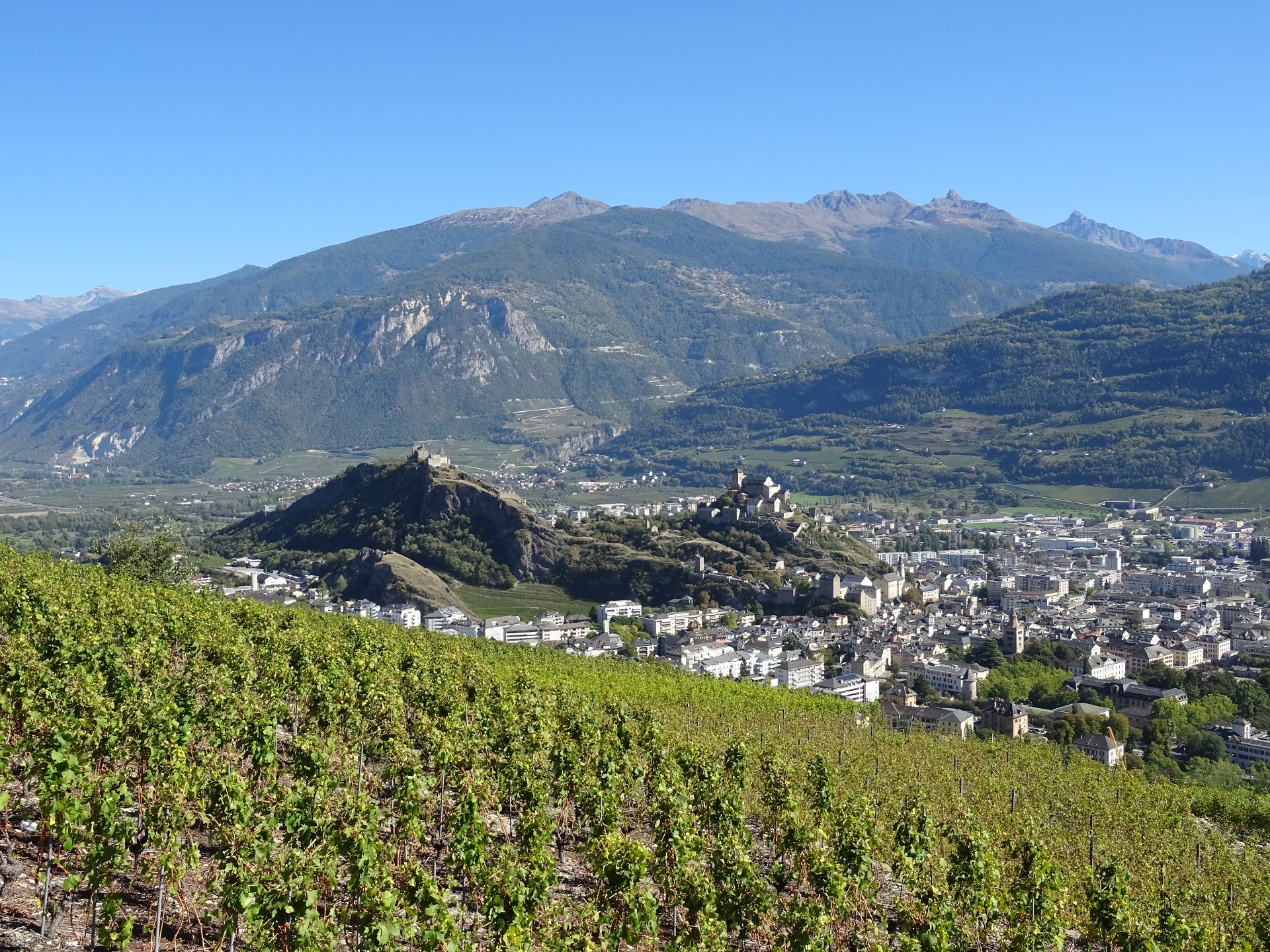 Sion